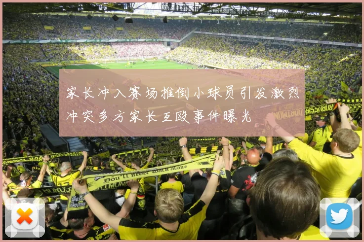 家长冲入赛场推倒小球员引发激烈冲突多方家长互殴事件曝光
