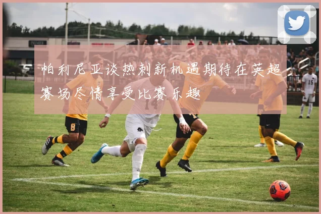 帕利尼亚谈热刺新机遇期待在英超赛场尽情享受比赛乐趣