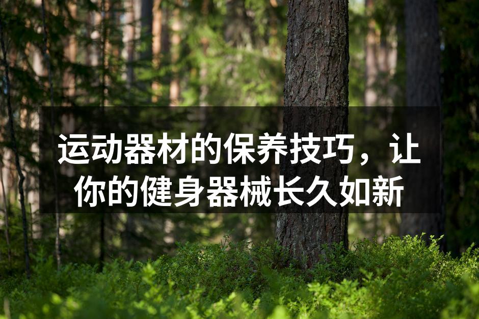 定期清洁运动器材,保持卫生
