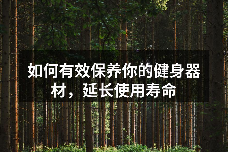 如何有效保养你的健身器材，延长使用寿命